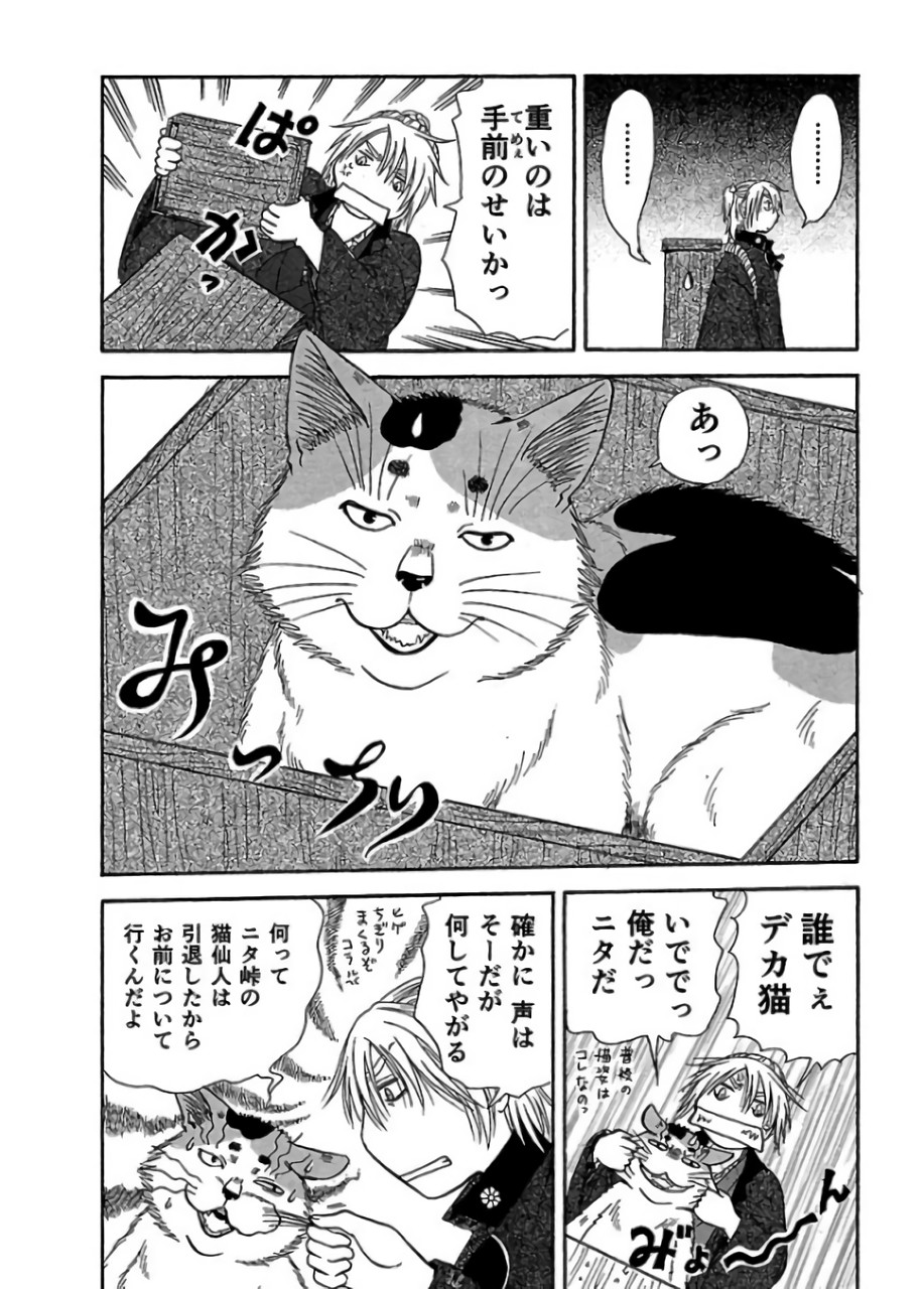 P41