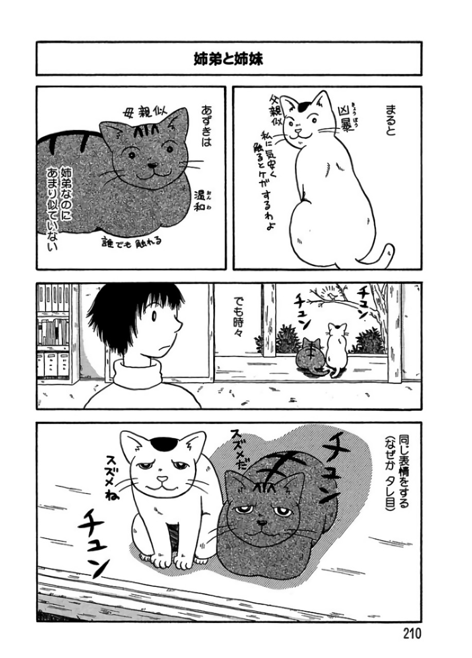 P32