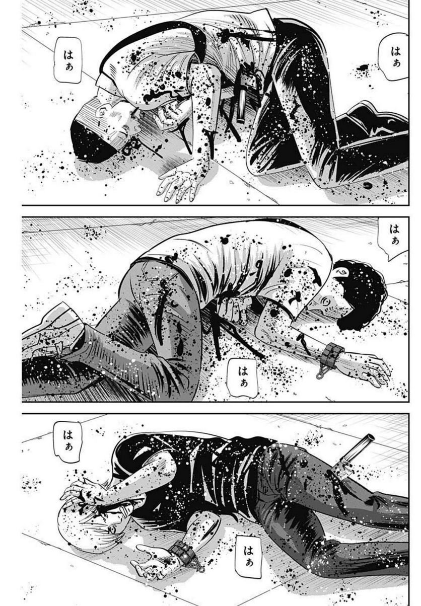 P23