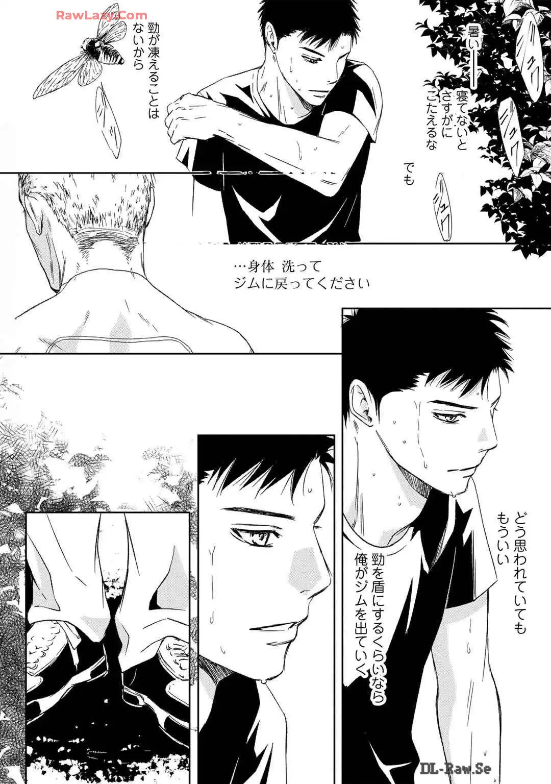 P26