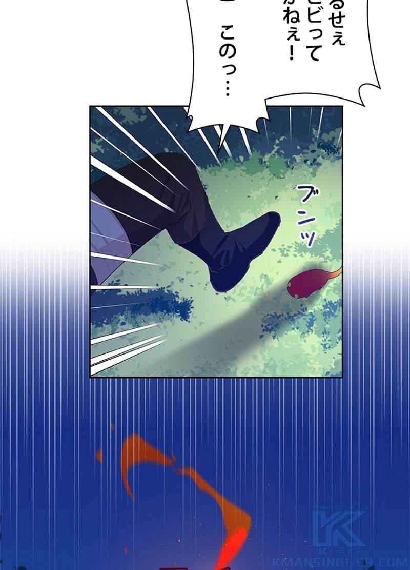 P61