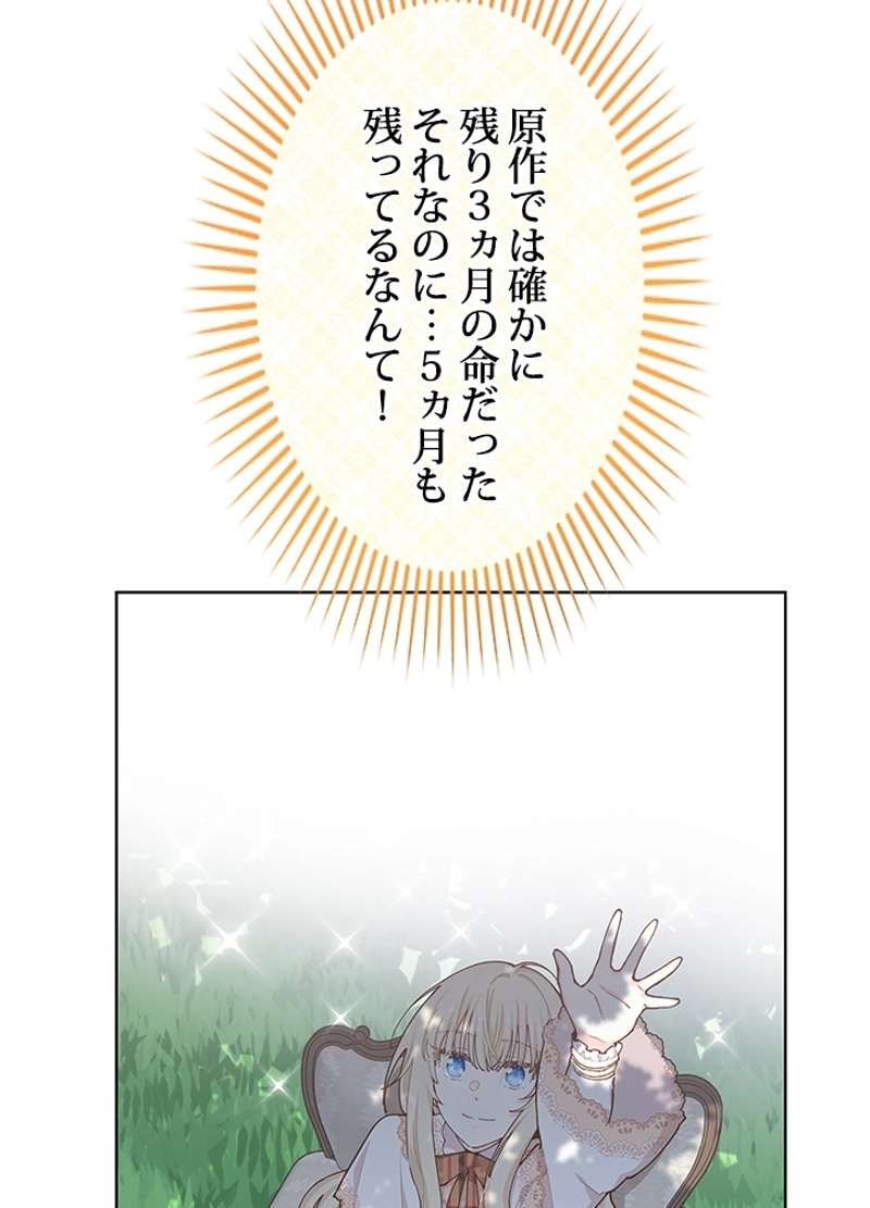 P114