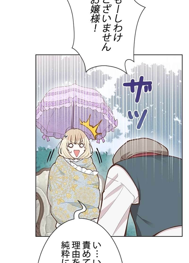P61