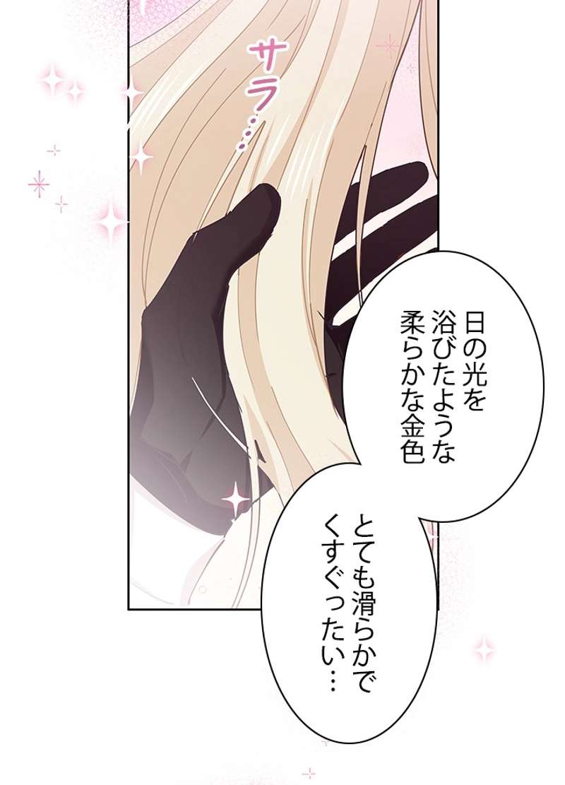 P62