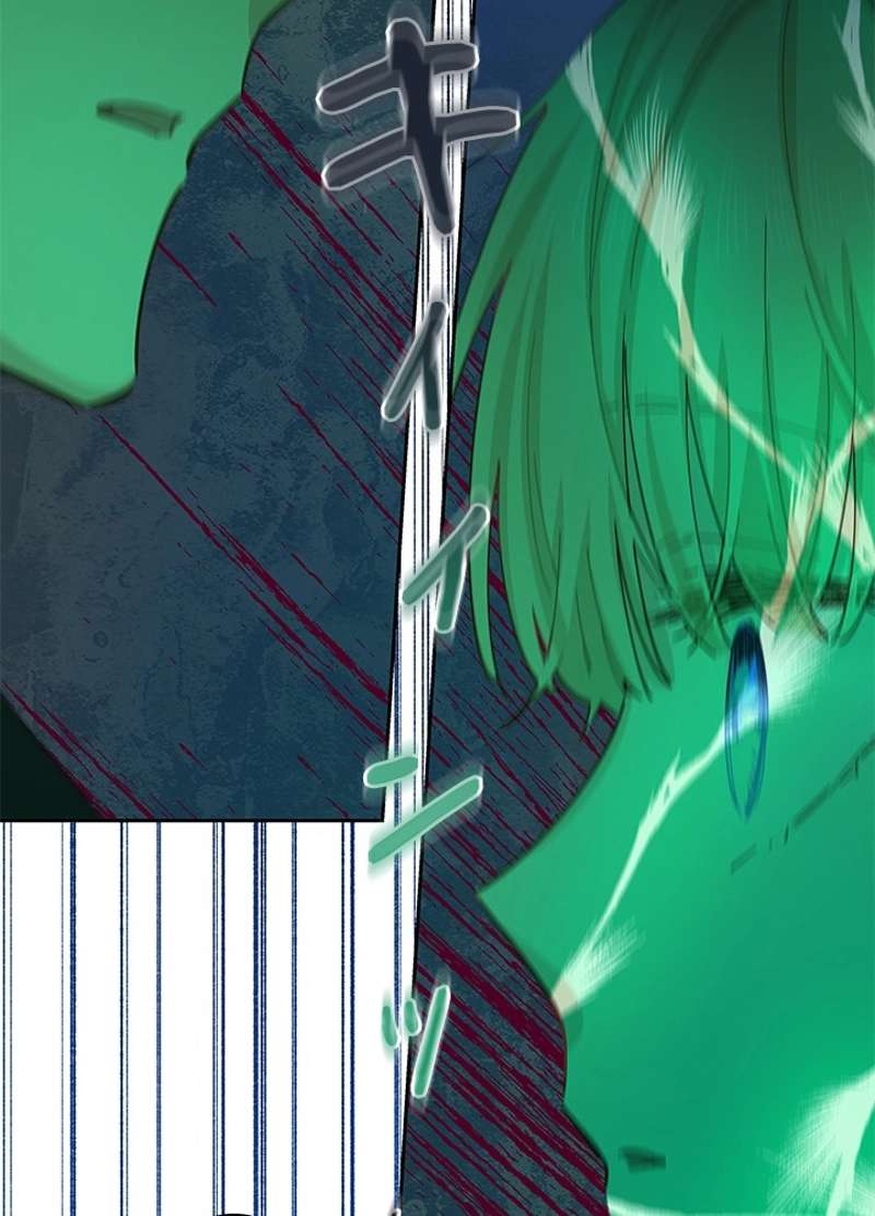 P66