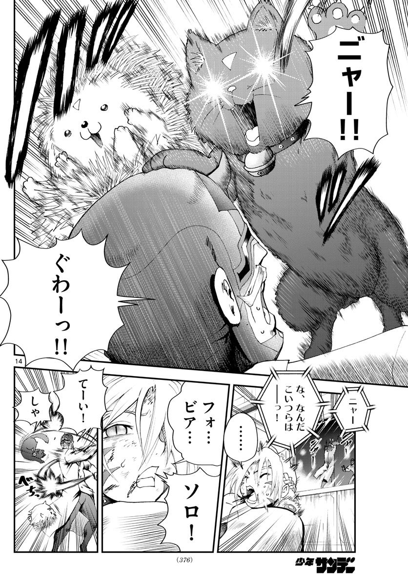 P14
