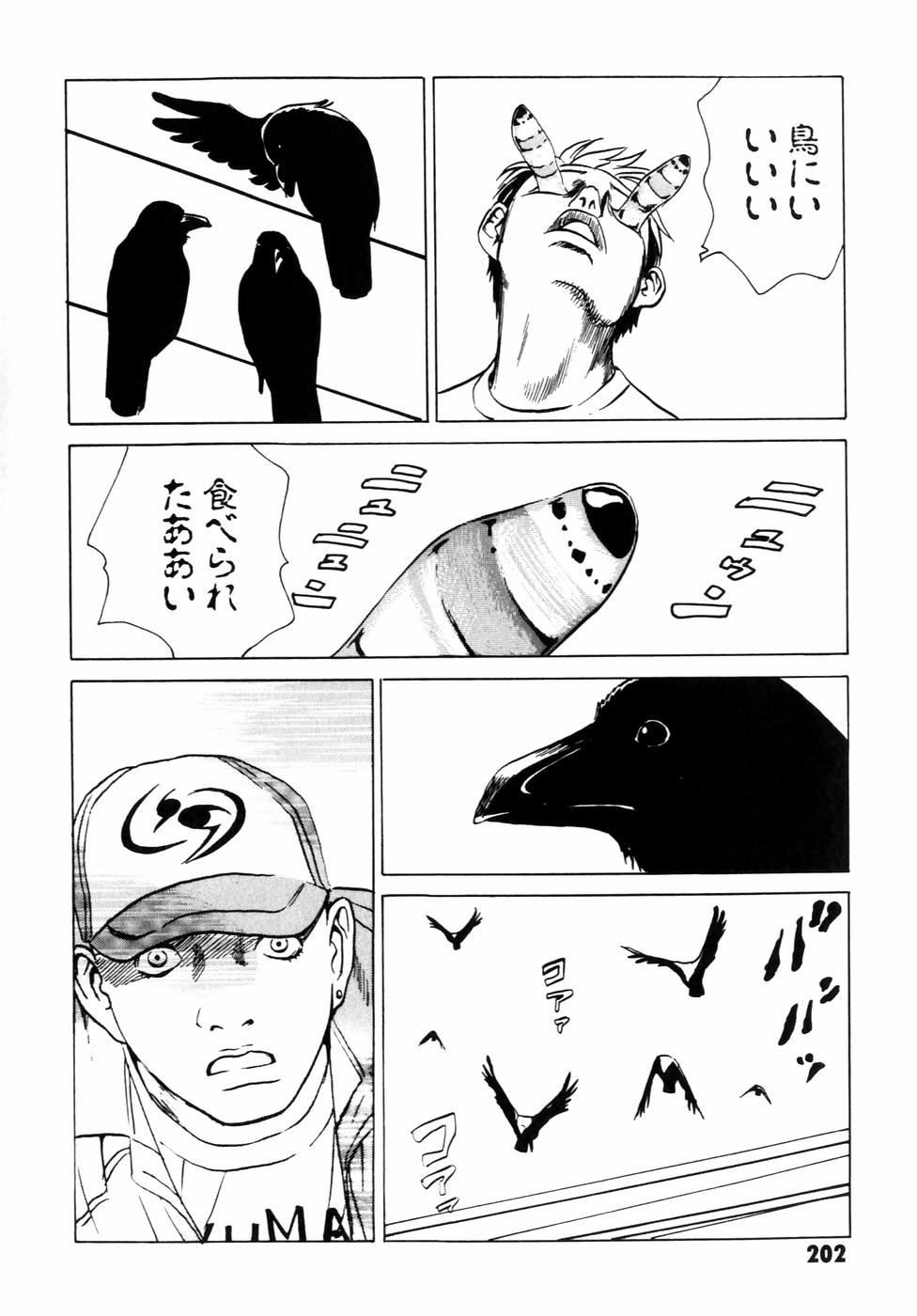 P44