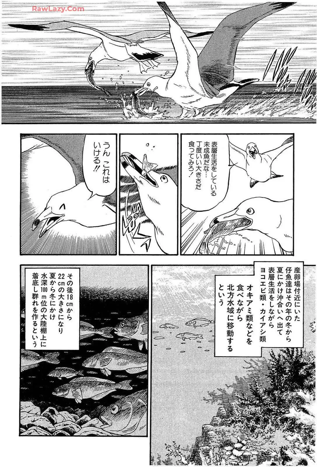 P56