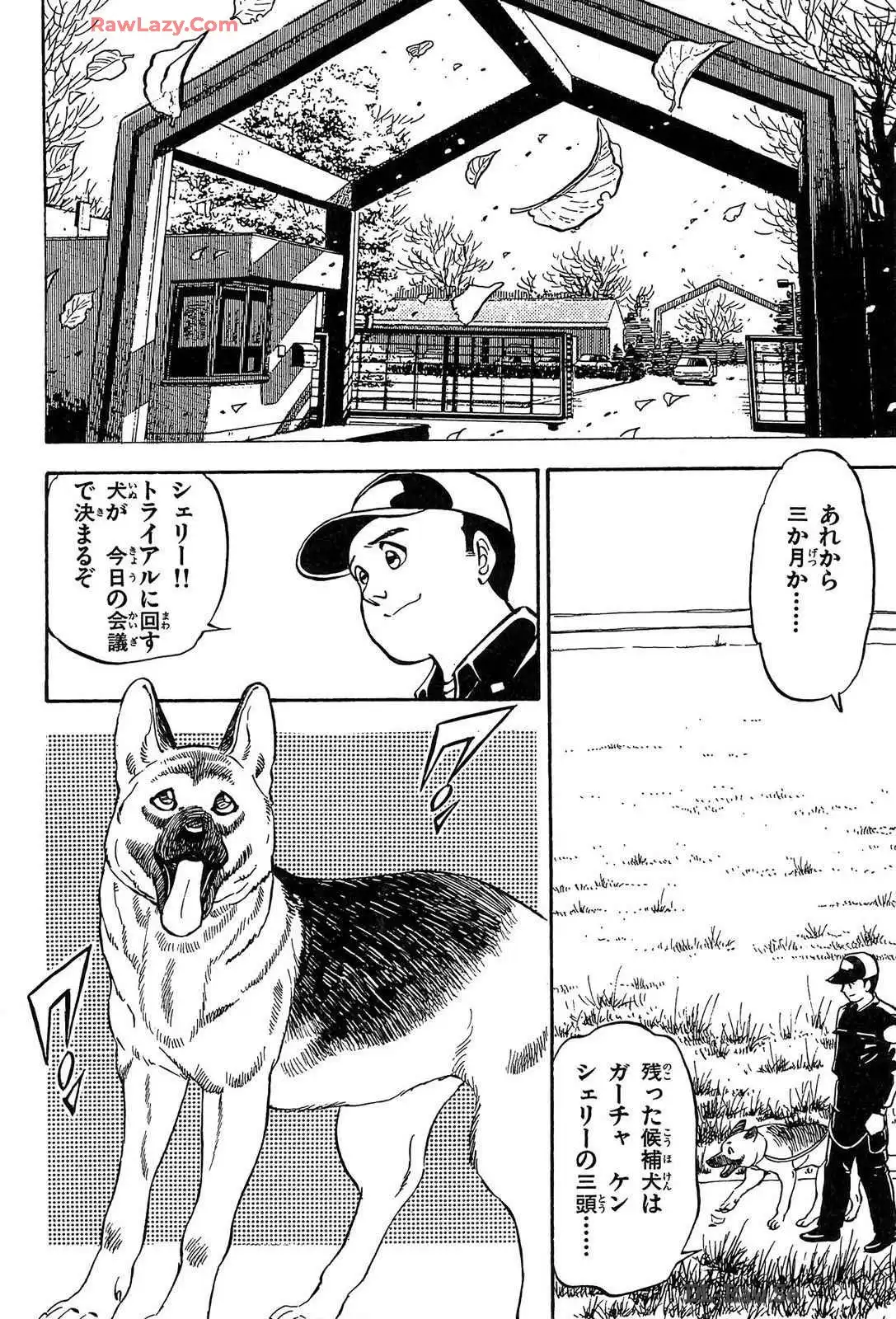 P49