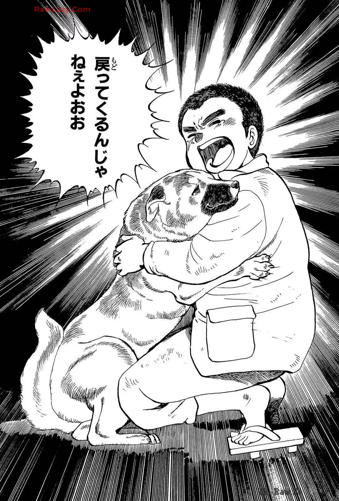 P53