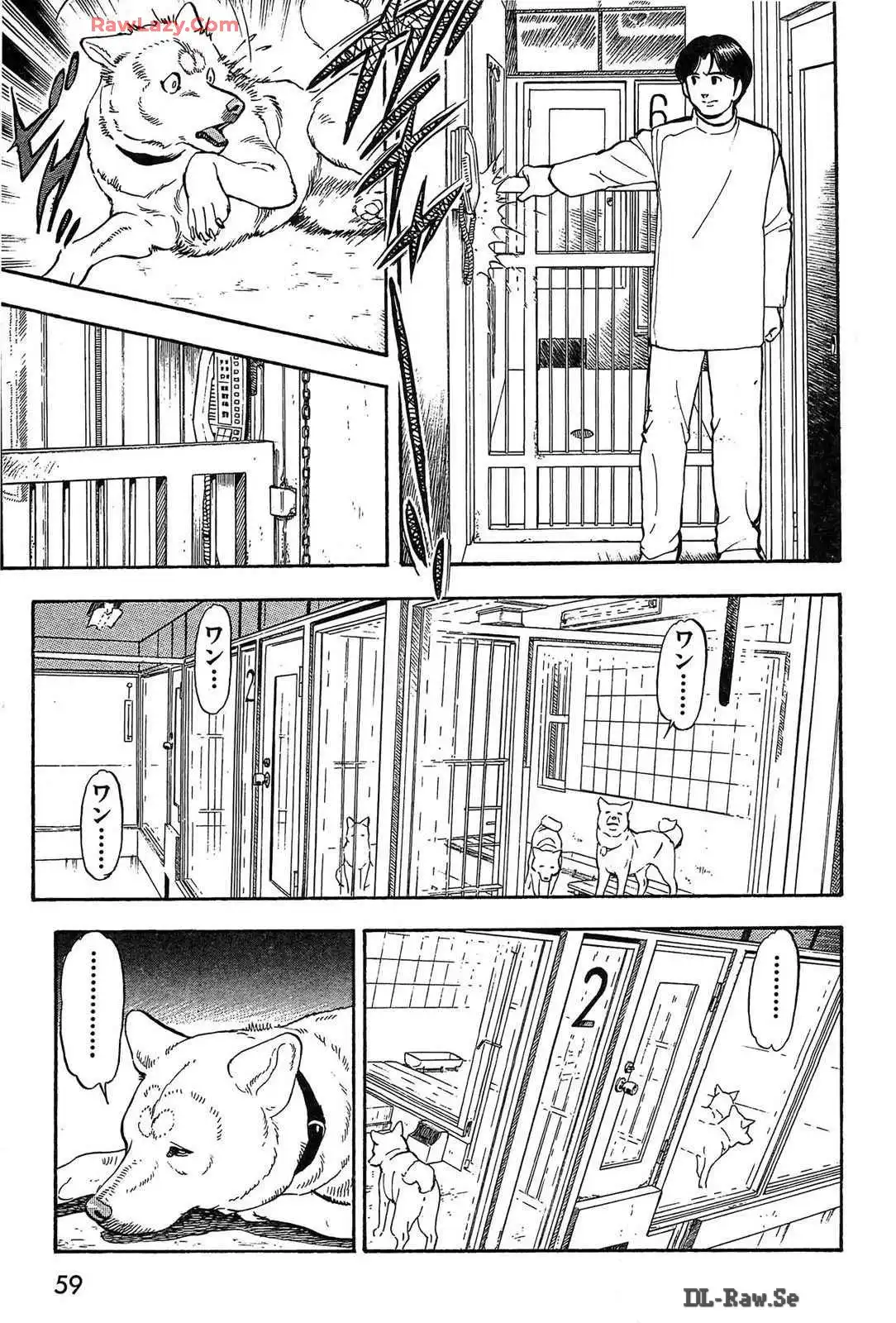 P58