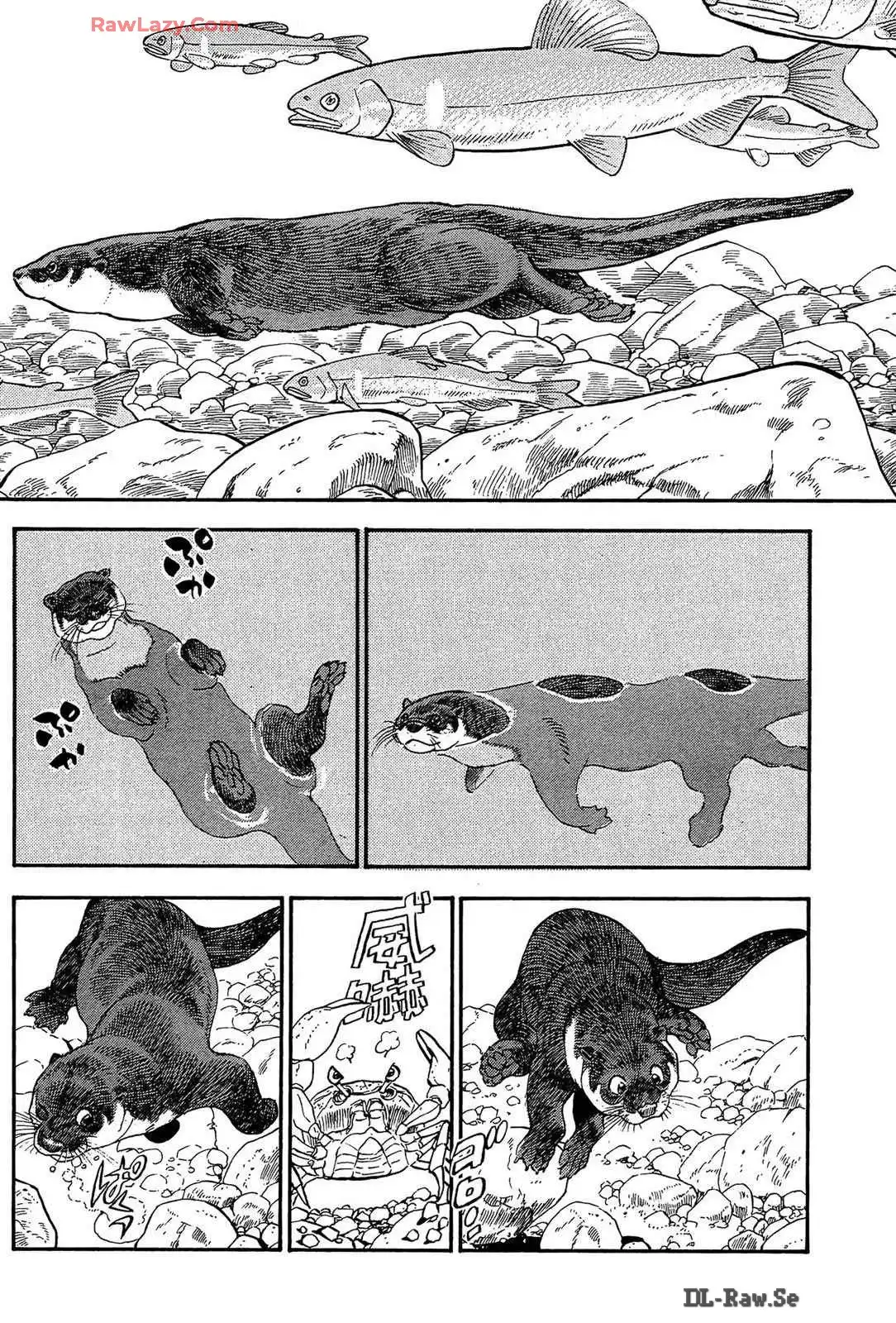 P48