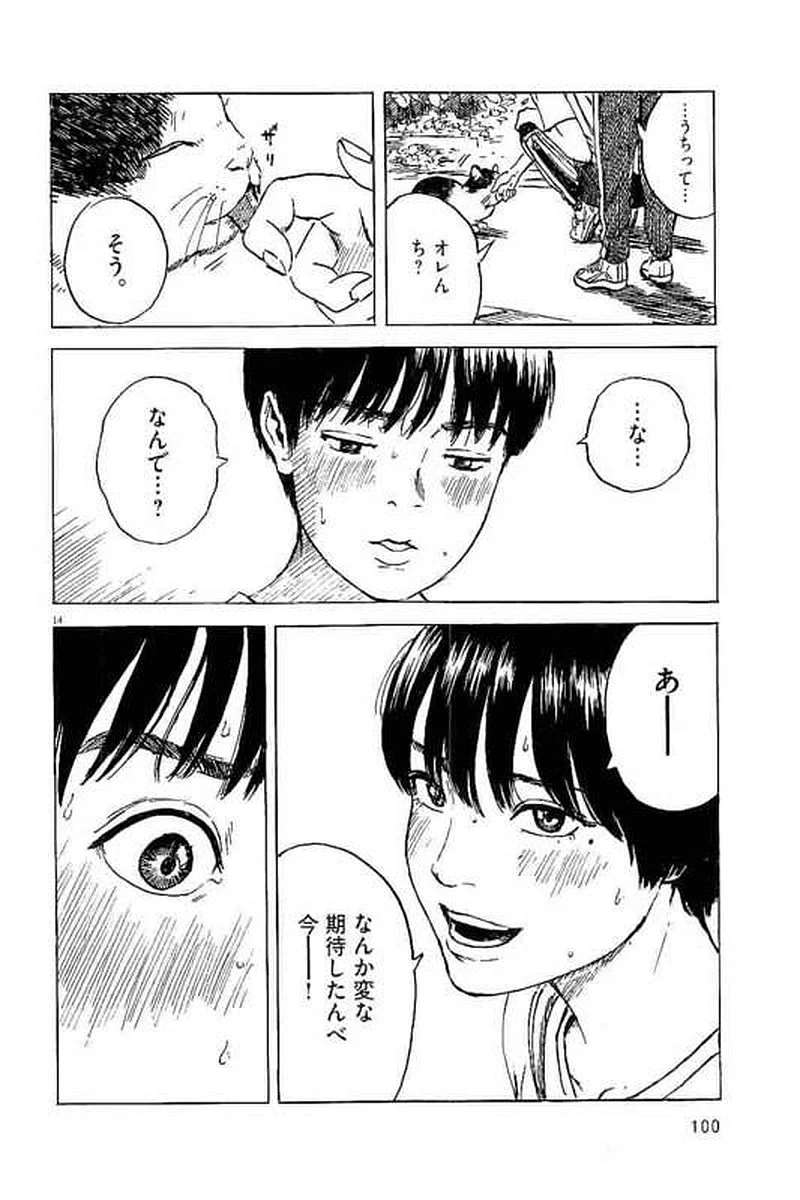 P14