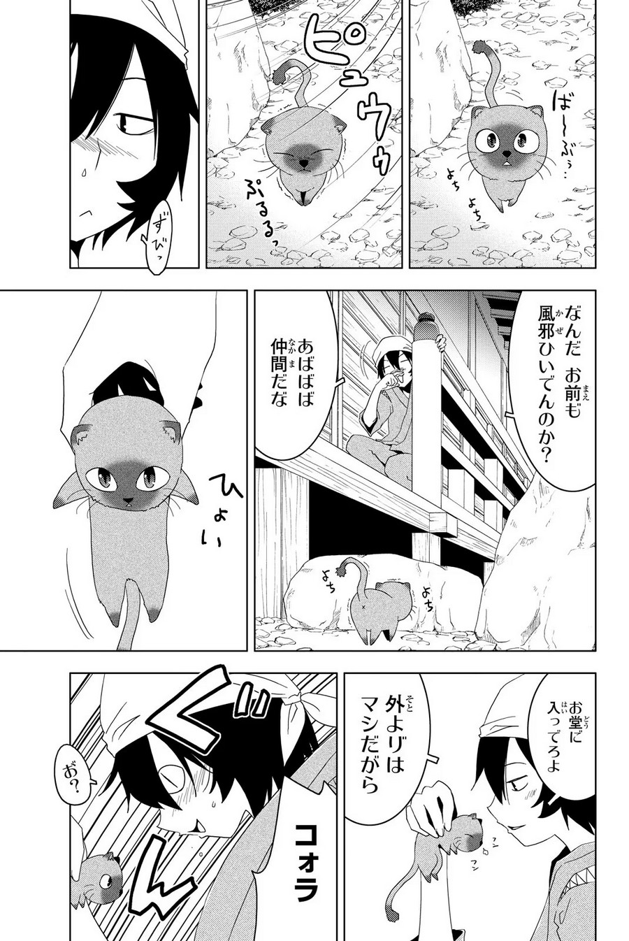 P3