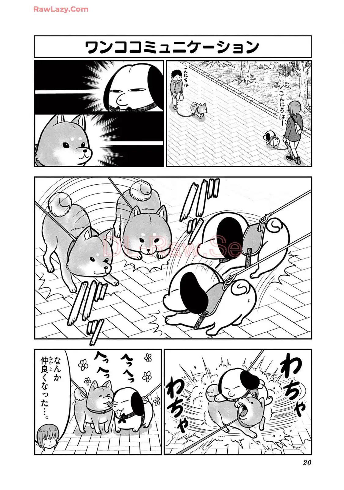P4