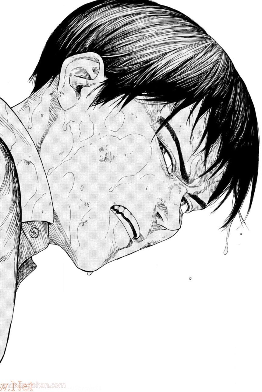 P44