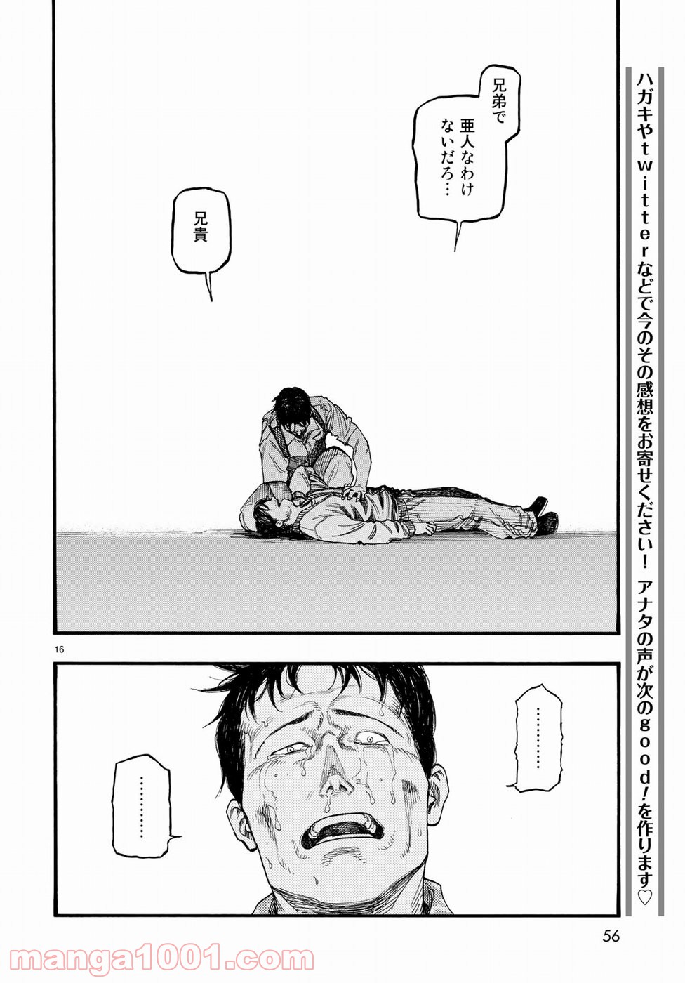 P16