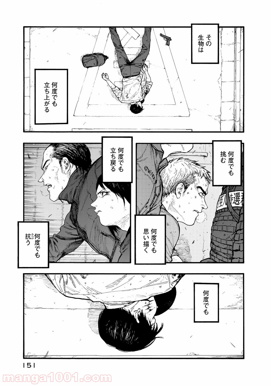 P29