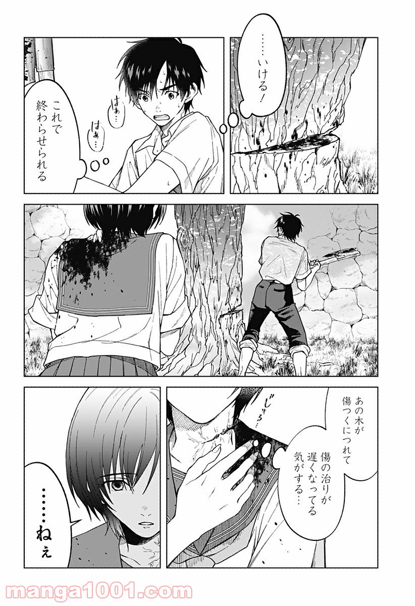 P13