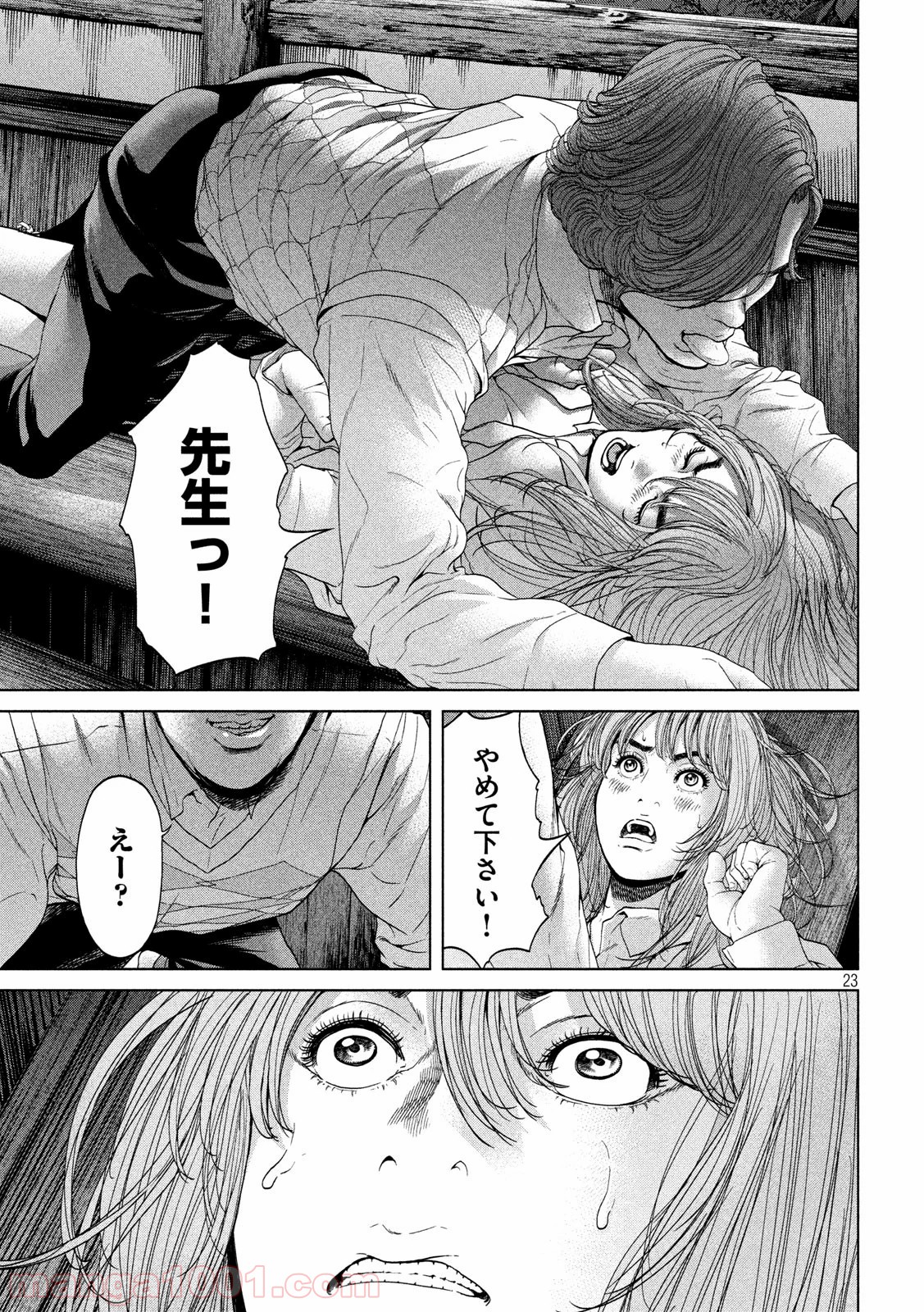 P23