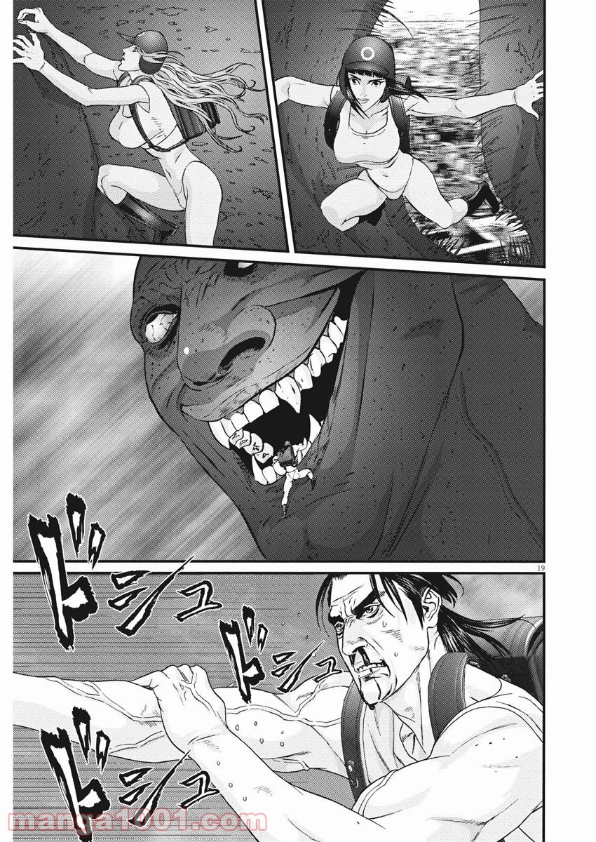 P19