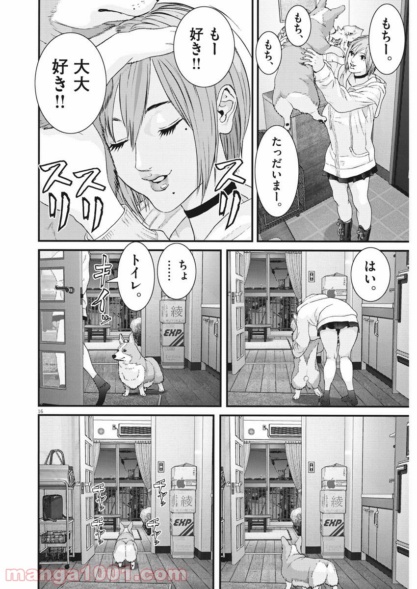 P16