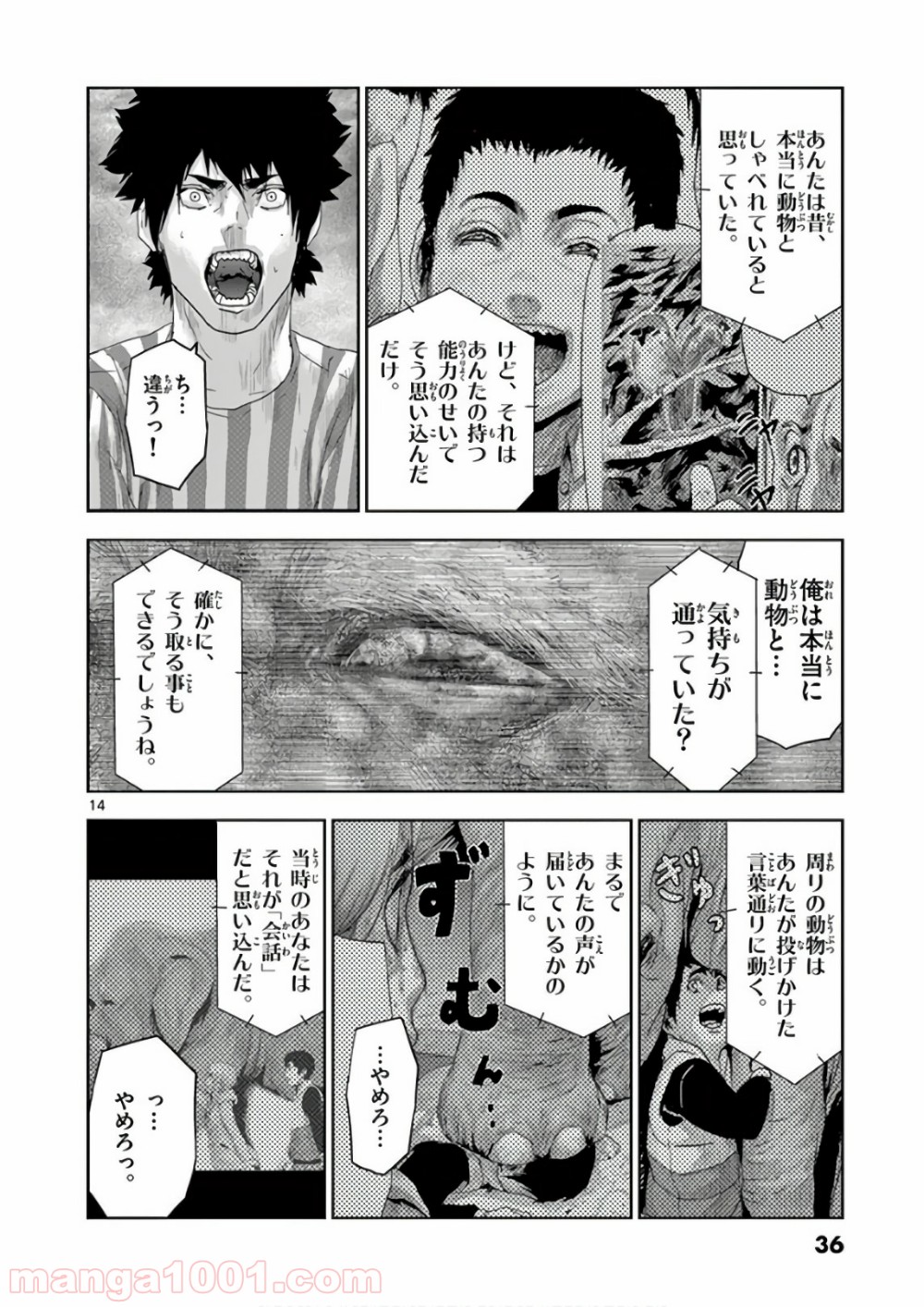 P14