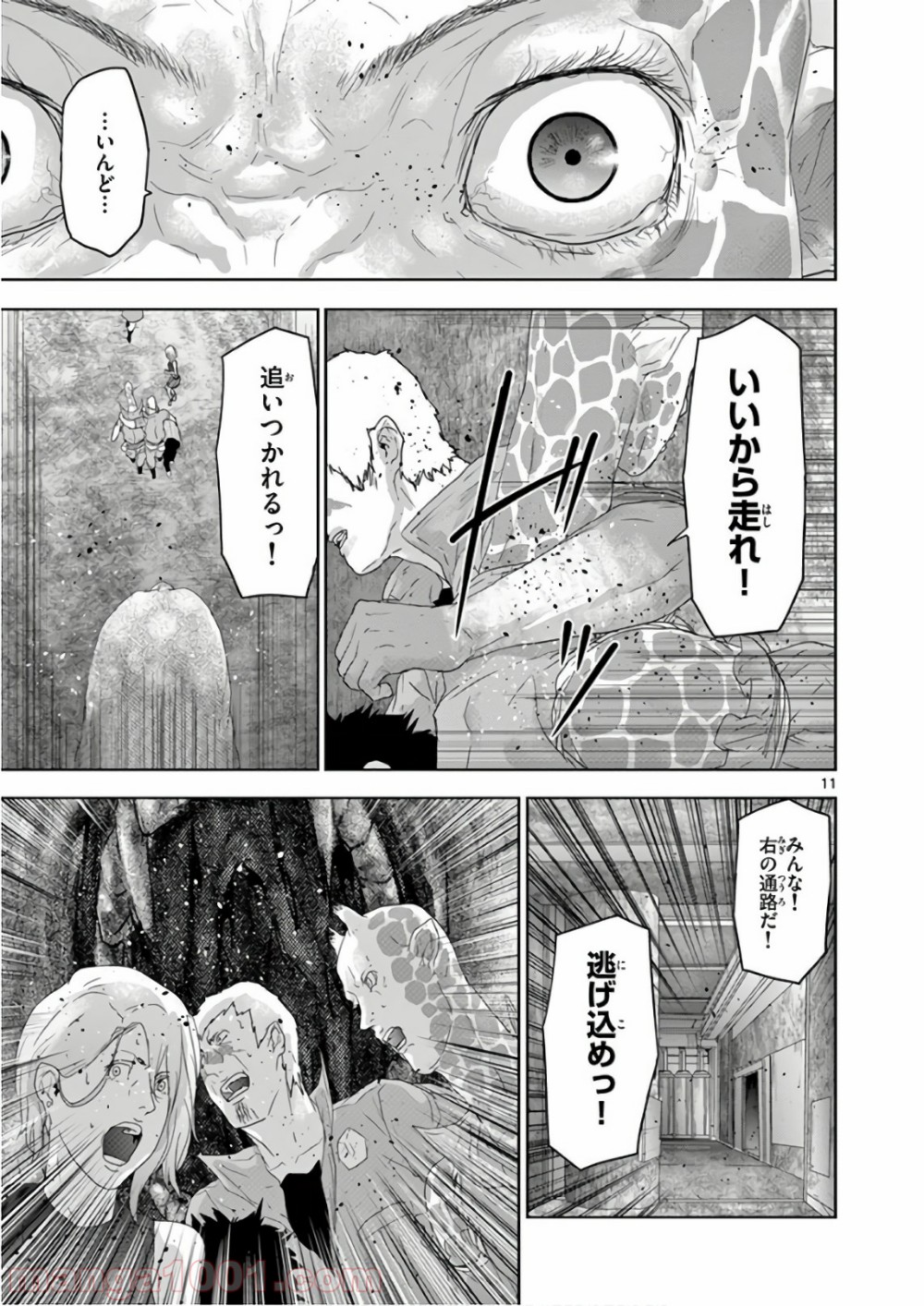 P11