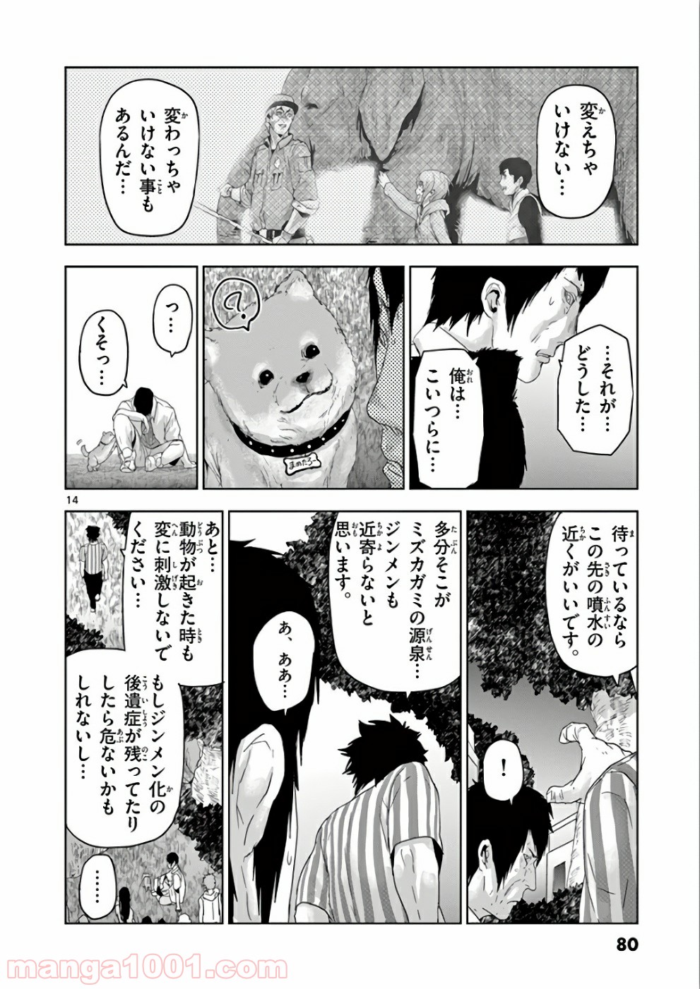 P14
