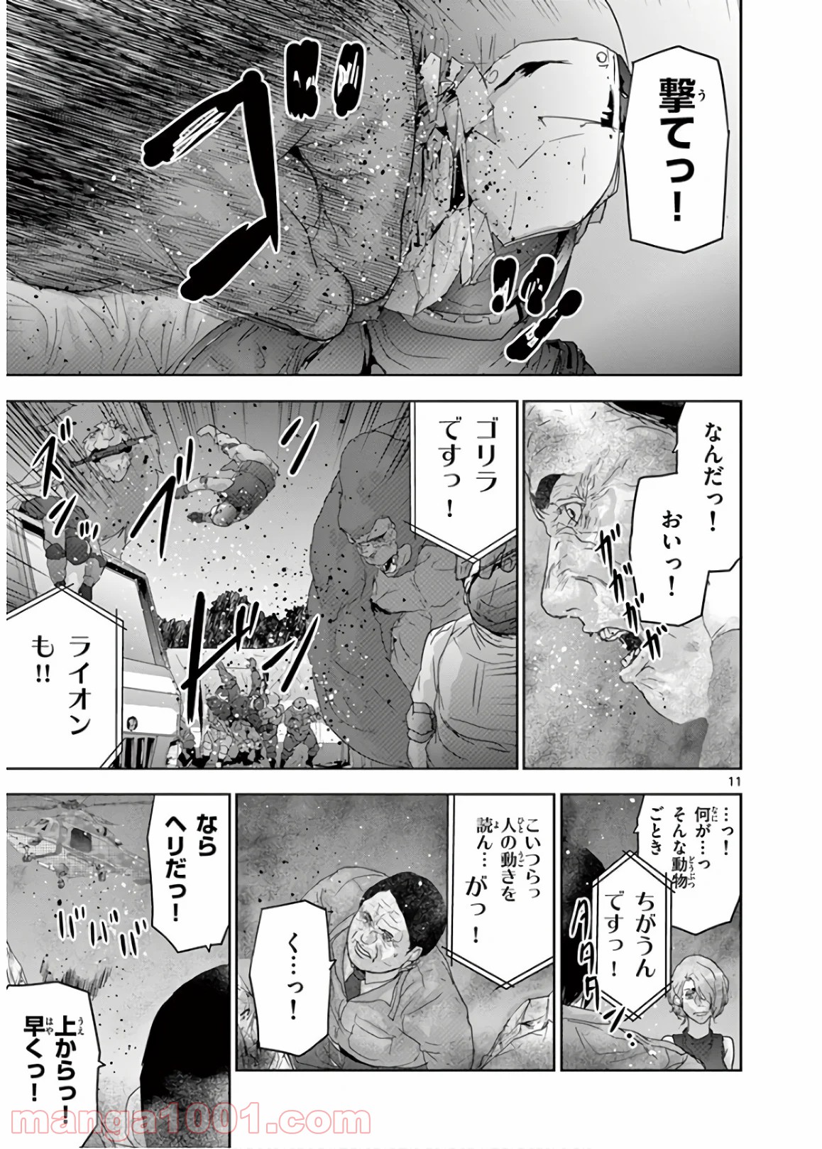 P11