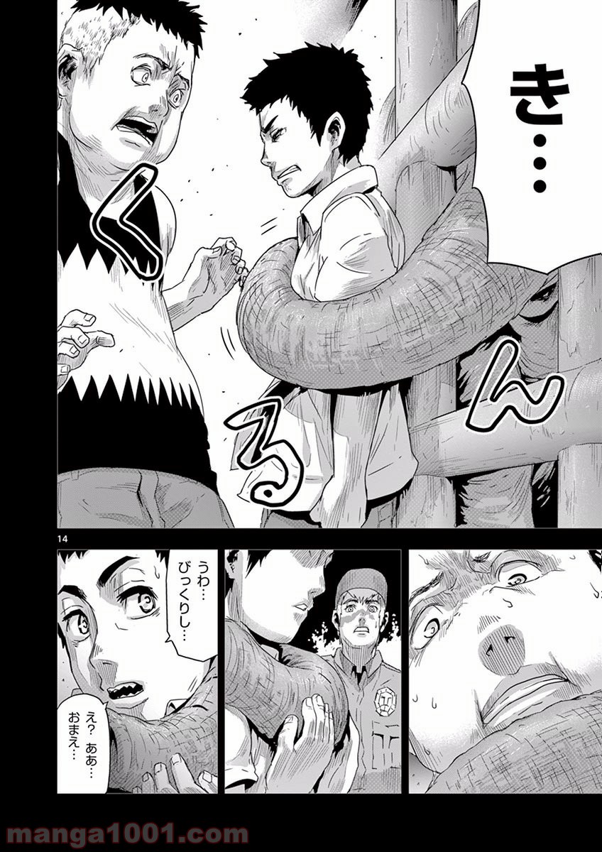 P16