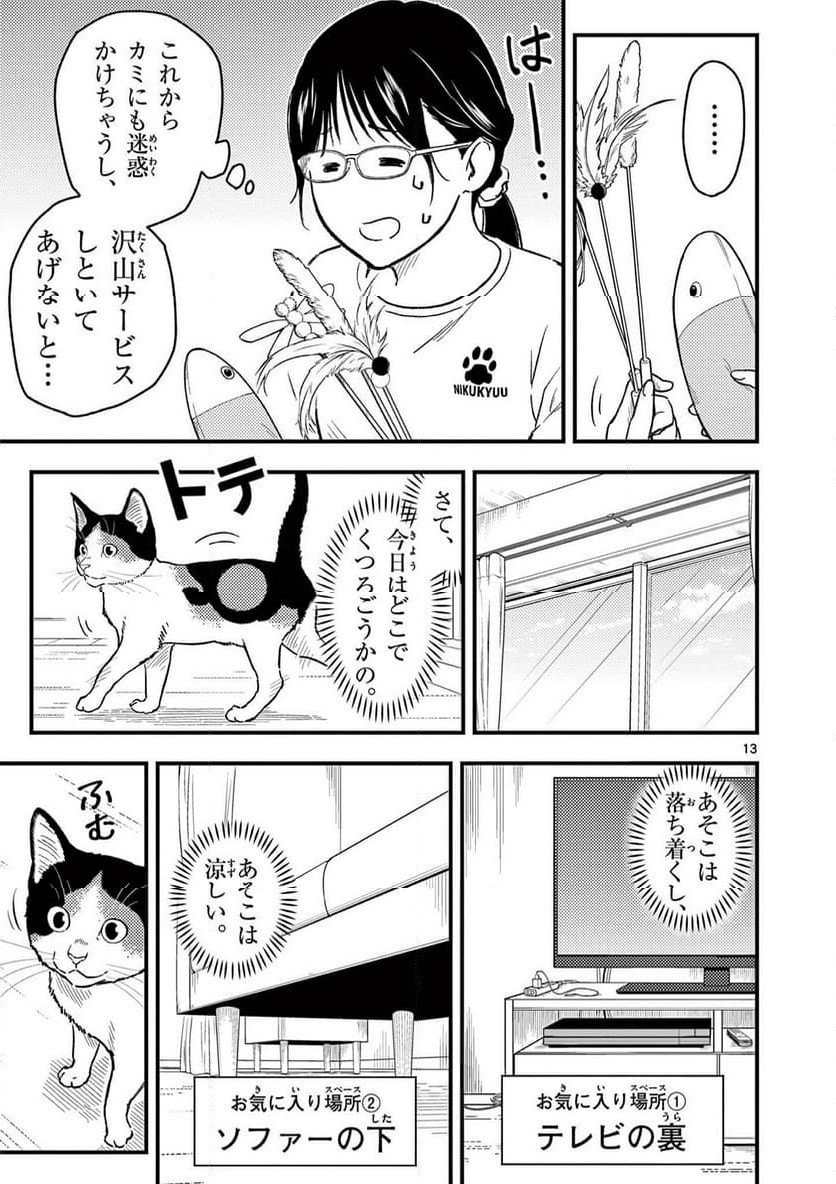 P13