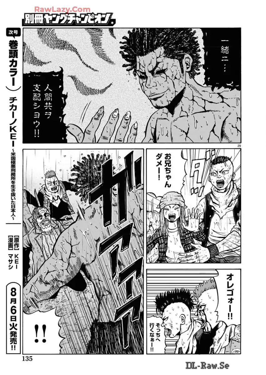 P29