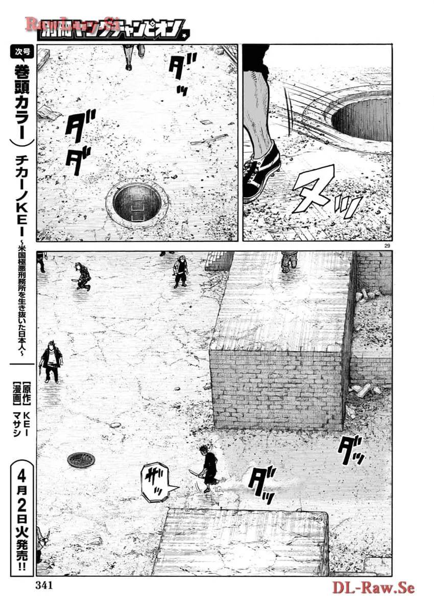 P29