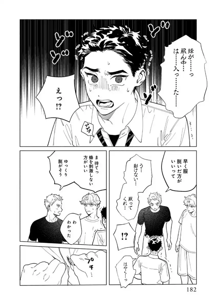 P46