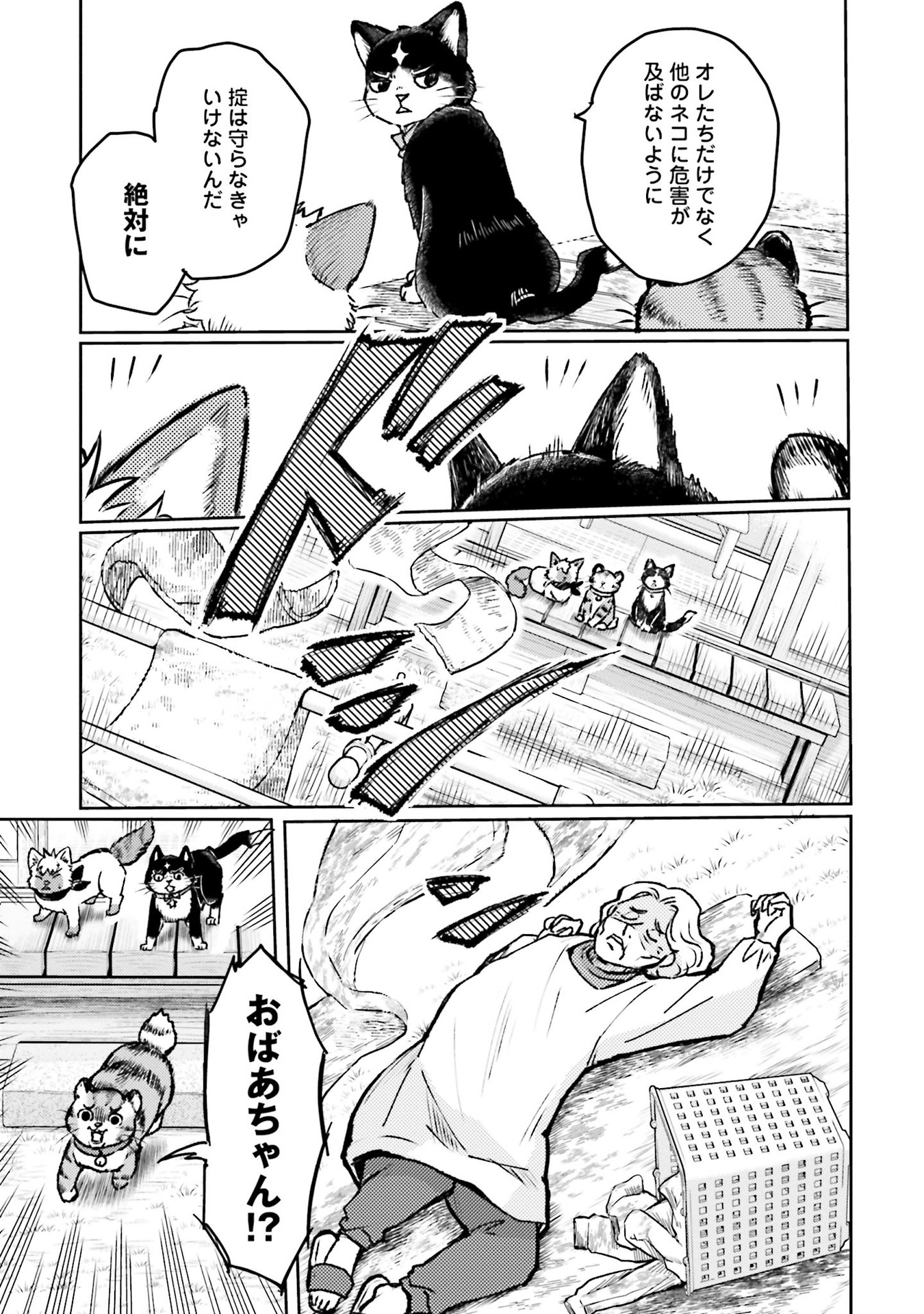 P13