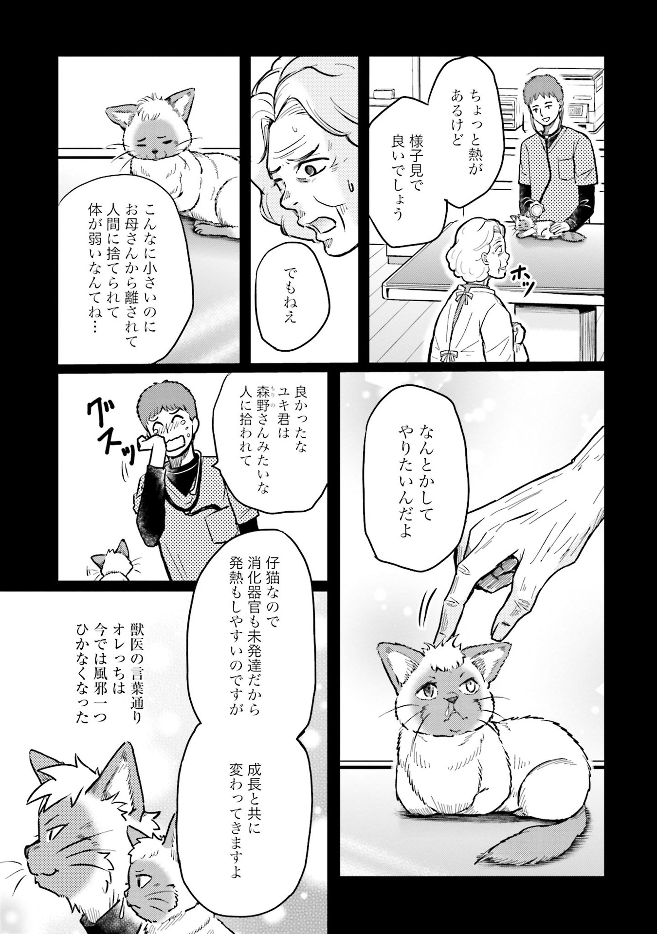 P7