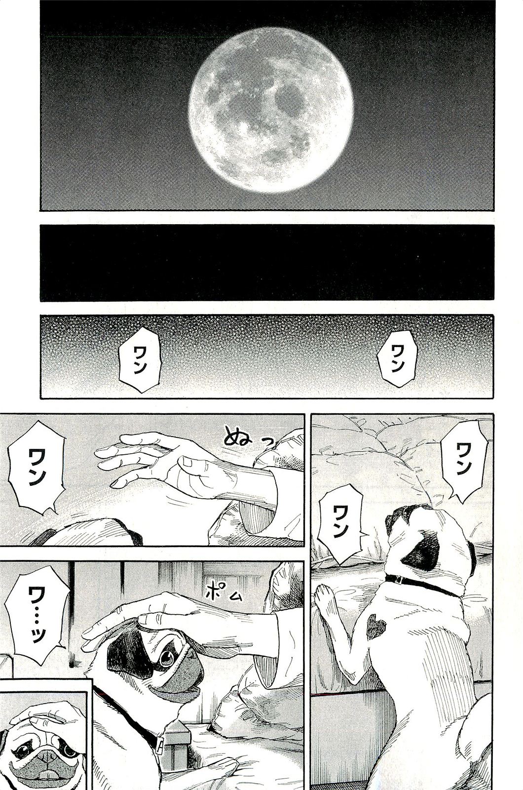 P76