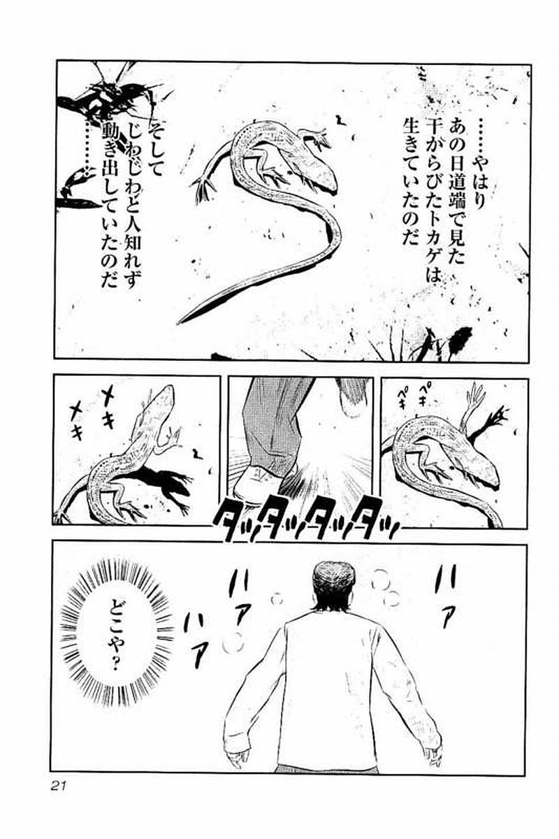 P21