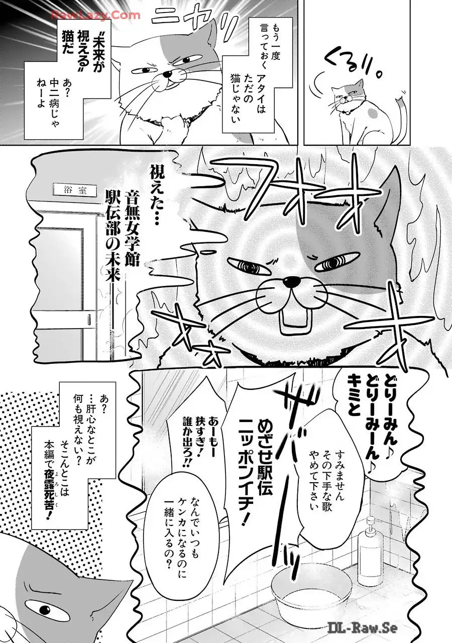 P48