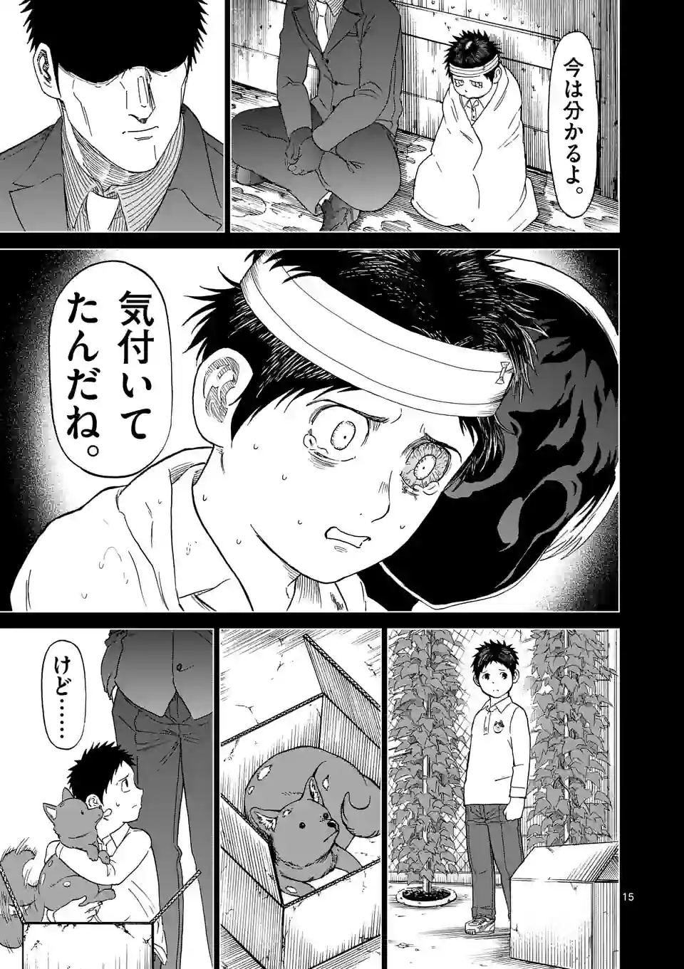 P15