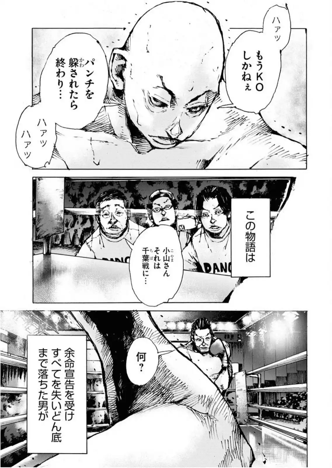 P23
