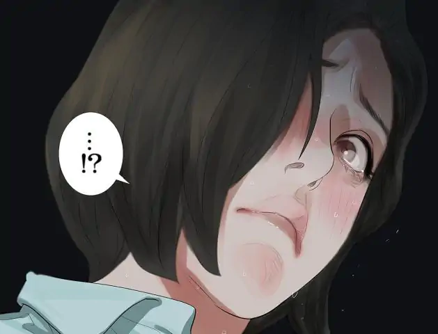 P58