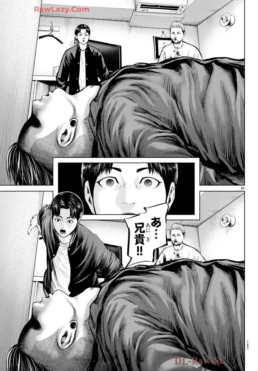 P29