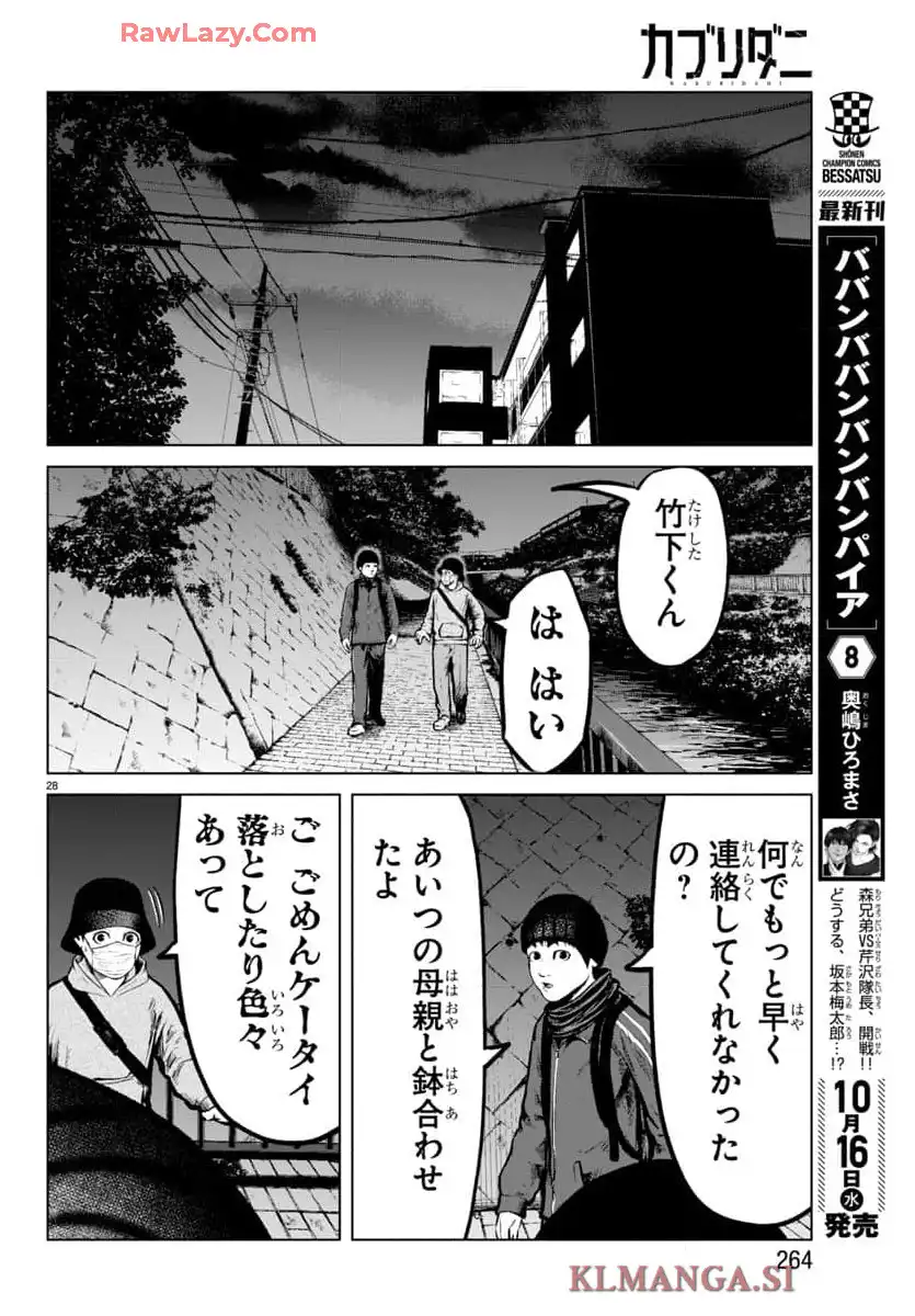 P29