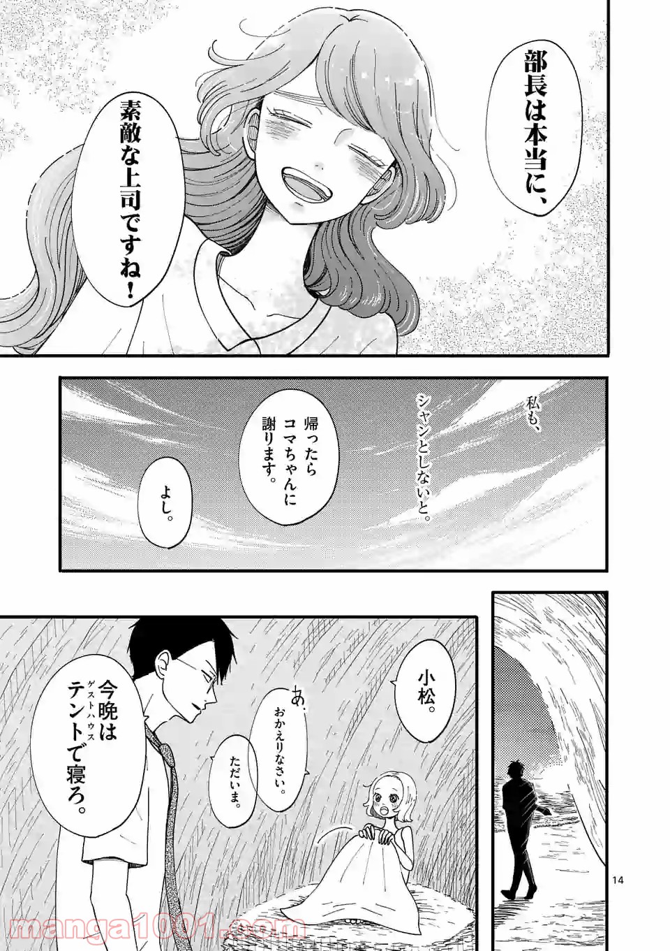 P14