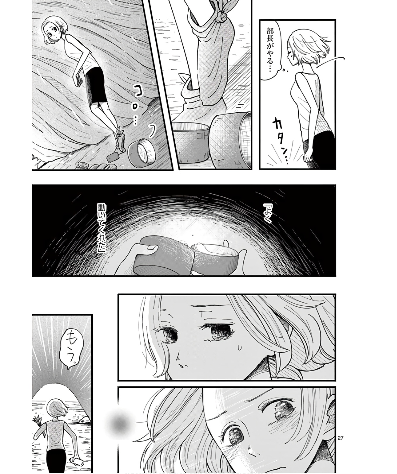 P27