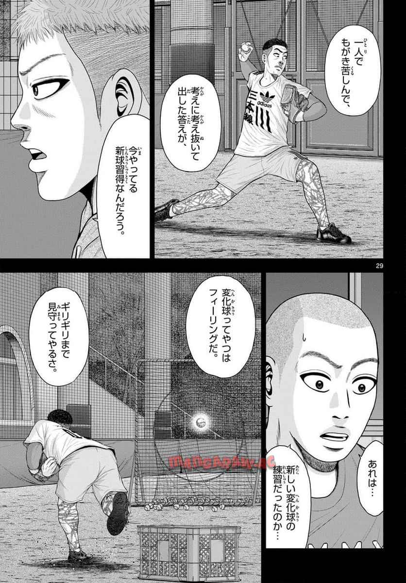P29