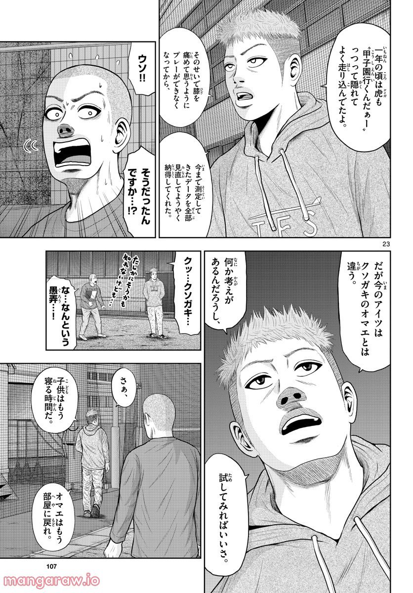P23