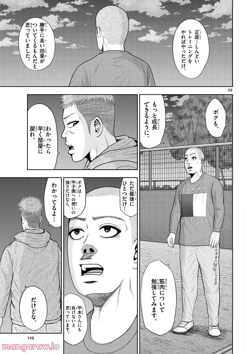 P29